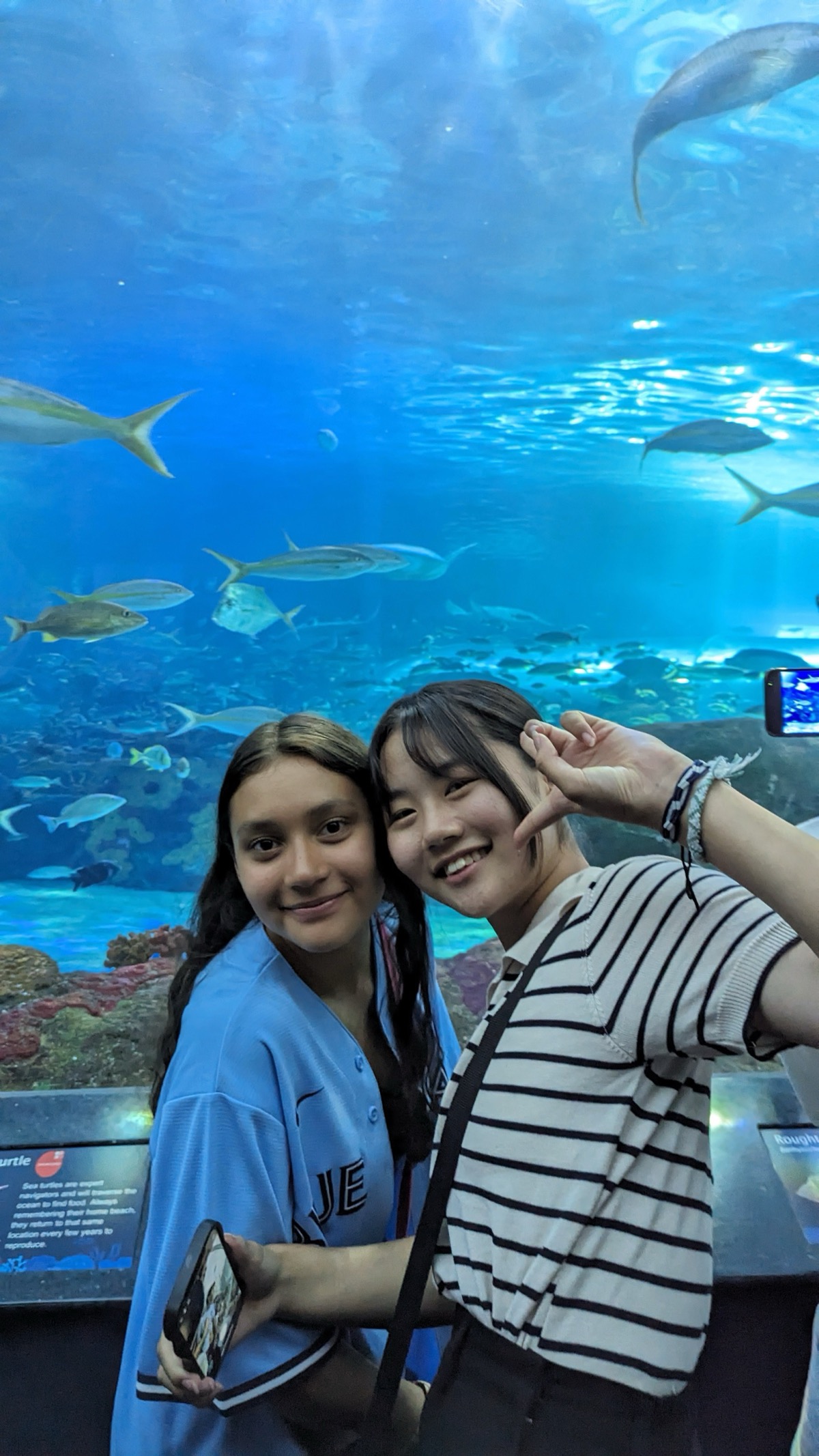 Visita al acuario Ripley's
