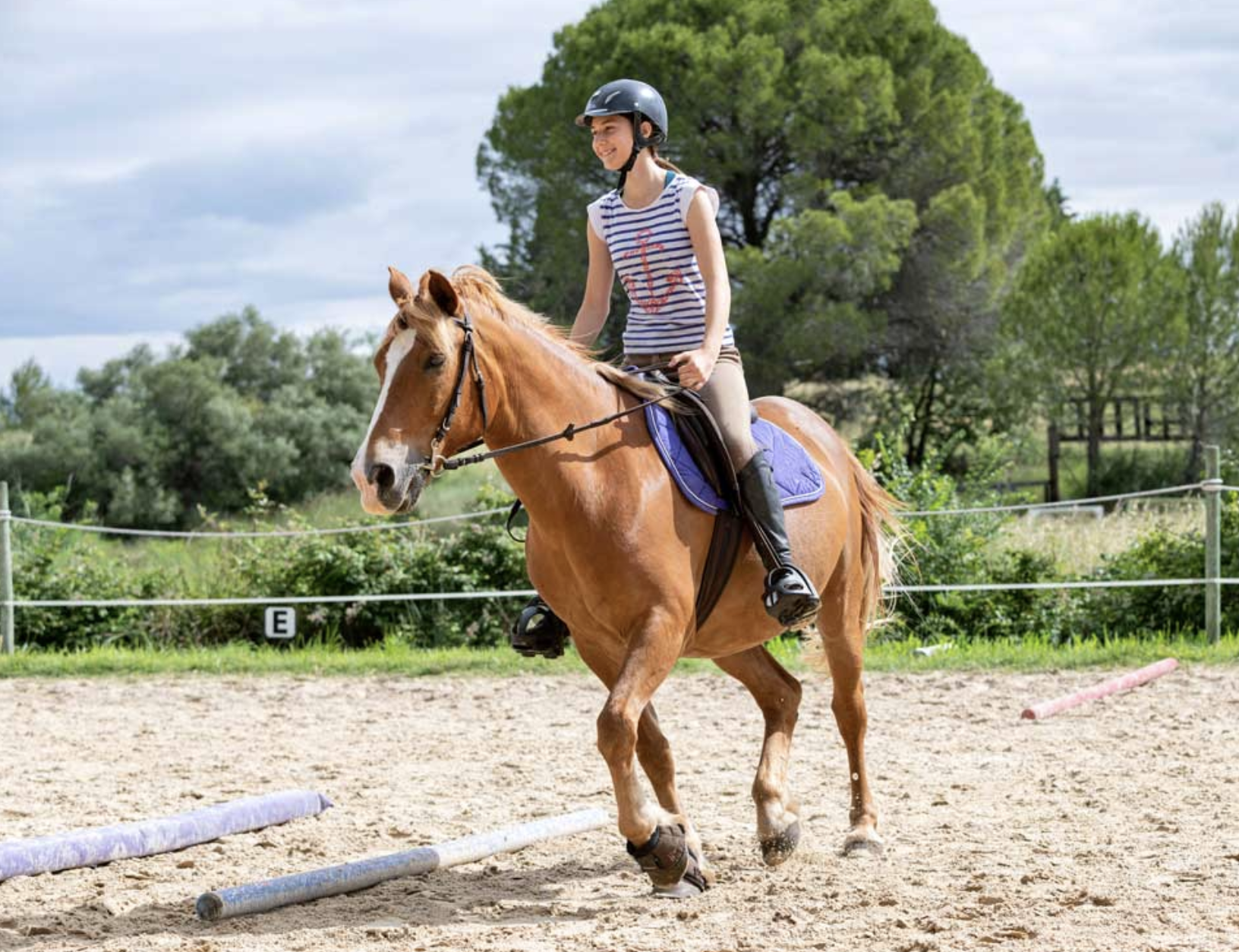 Actividades en Ascot Campus