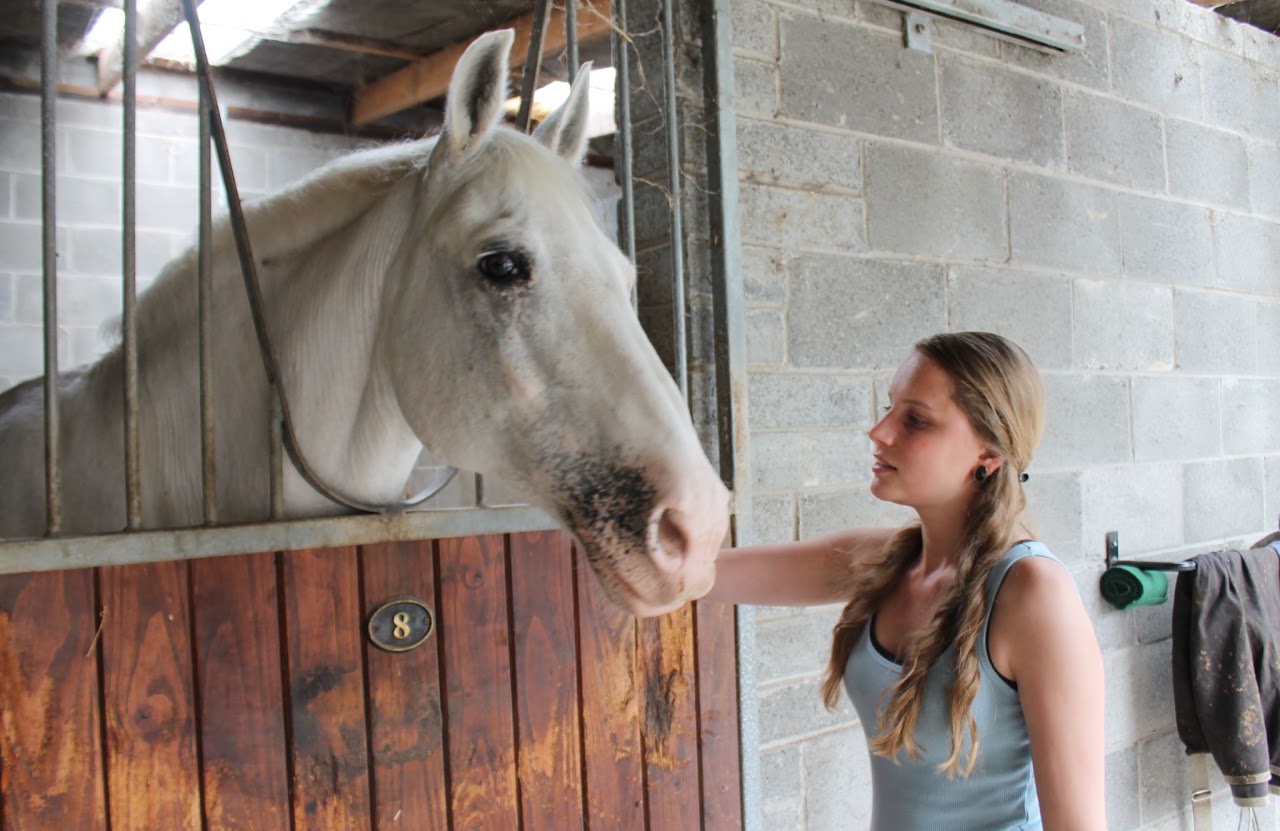 Cuidado del caballo en el establo