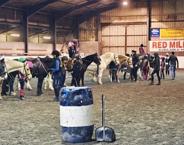 Kilkenny Campus - horses-arena