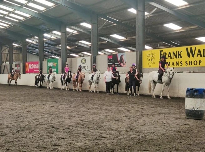 Kilkenny Campus - horses-line
