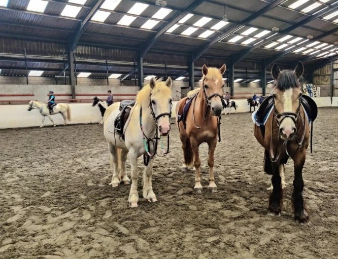 Ponis del centro ecuestre en Kilkenny