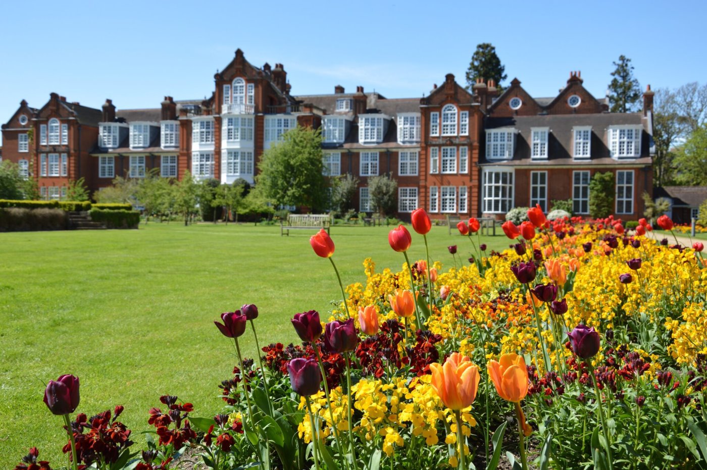 Verano en la Universidad de Cambridge